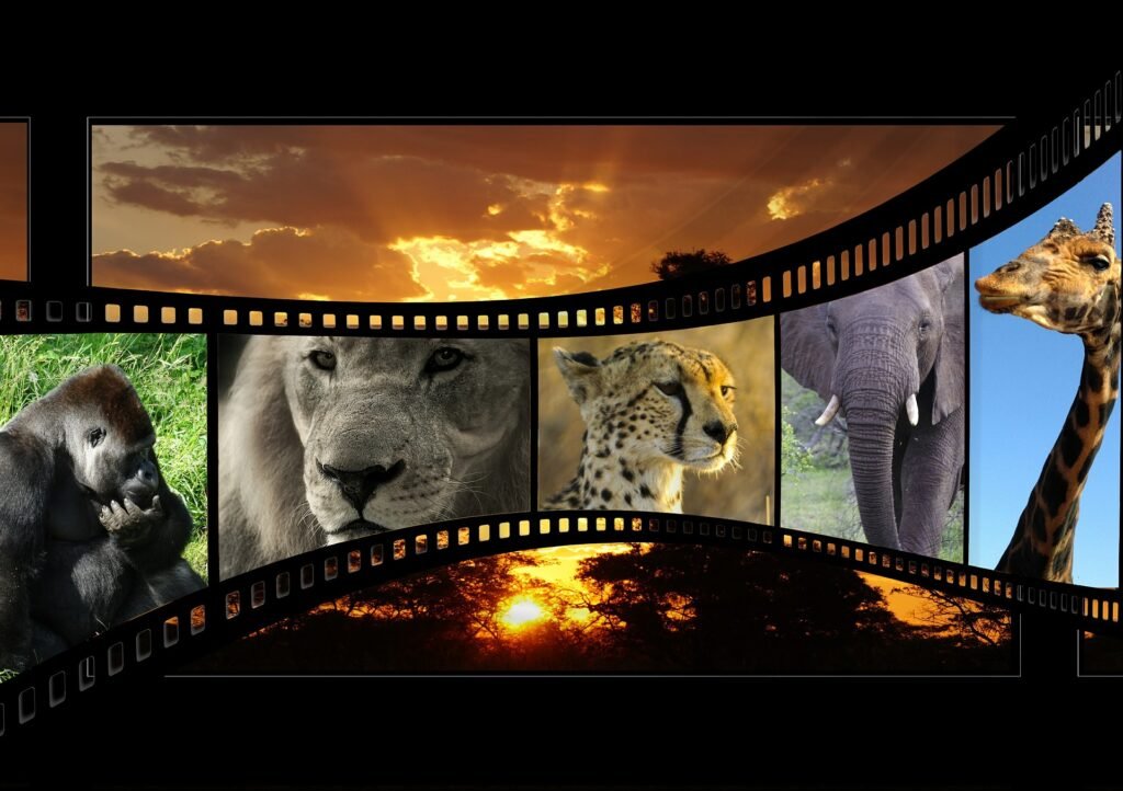 great visual content is crucial for blogging