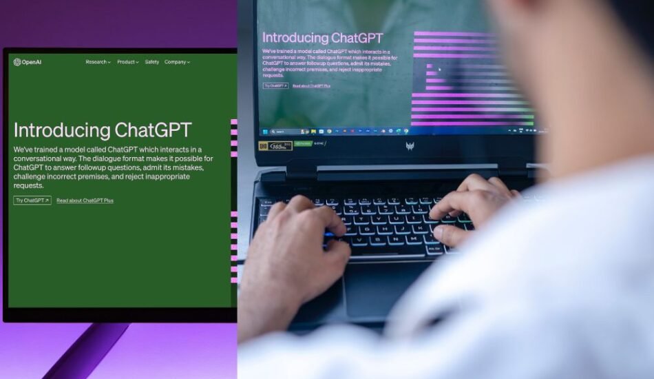 AI powered search and user behaviour