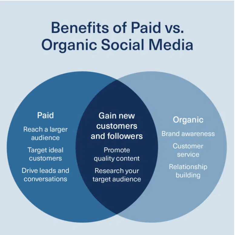 paid vs organic search in SEO